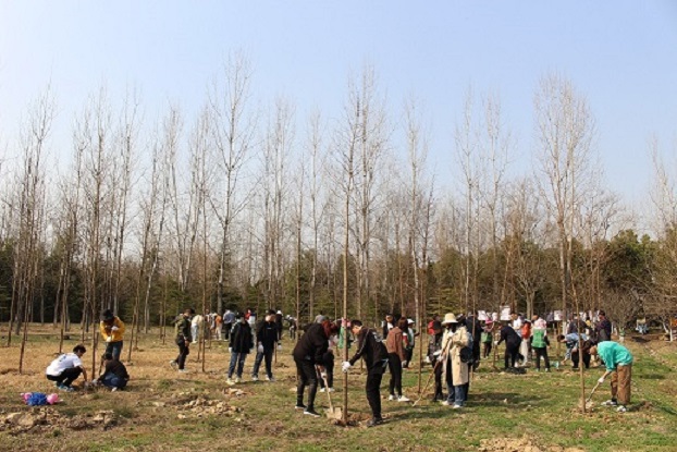 IMG_0515.JPG undefined