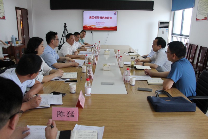 集團領(lǐng)導調研座談會(huì )_副本.jpg