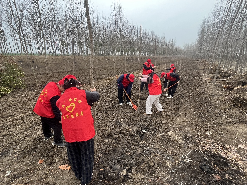 3 五蒙高速TJ-05標開(kāi)展志愿植樹(shù)活動(dòng).jpg